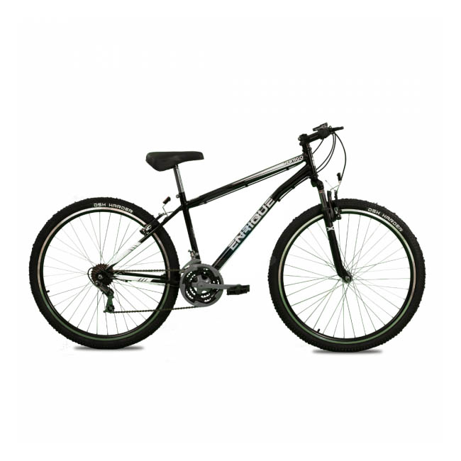 Bicicleta enrique top rodado 16