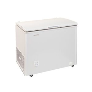 Freezer Briket FR2500 BK2500A2